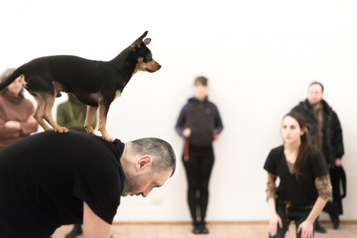 6412_foto_barbara_berti_the_situation_primo_studio_dogod_raum_3105