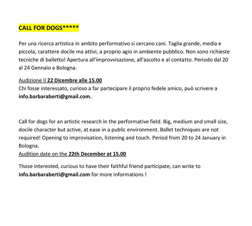 audition dogs.jpg