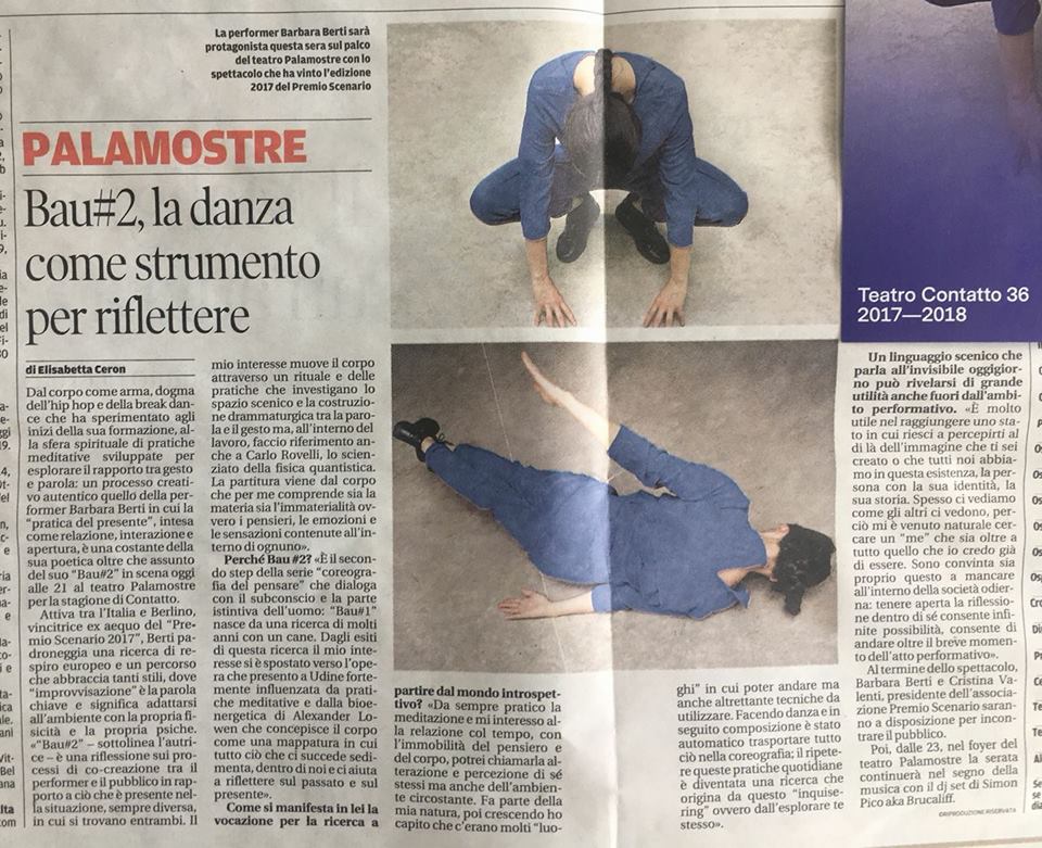 bau2_newspapper udine